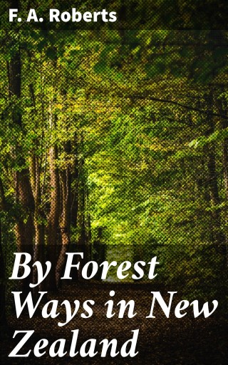 By Forest Ways in New Zealand