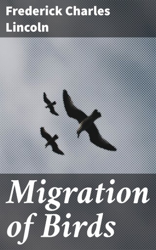 Migration of Birds