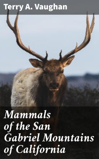 Mammals of the San Gabriel Mountains of California