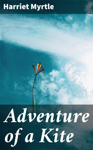 Adventure of a Kite