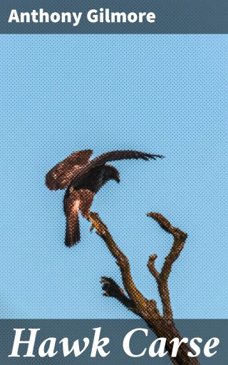Portada del libro «Hawk Carse», de Anthony Gilmore