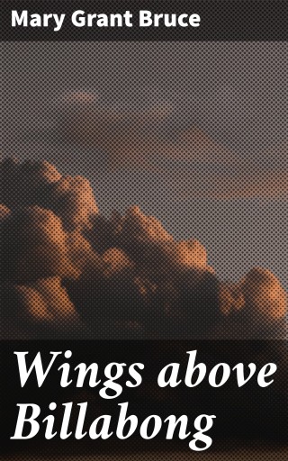 Wings above Billabong