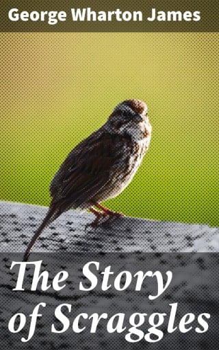 The Story of Scraggles