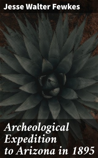 Archeological Expedition to Arizona in 1895