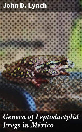 Genera of Leptodactylid Frogs in México
