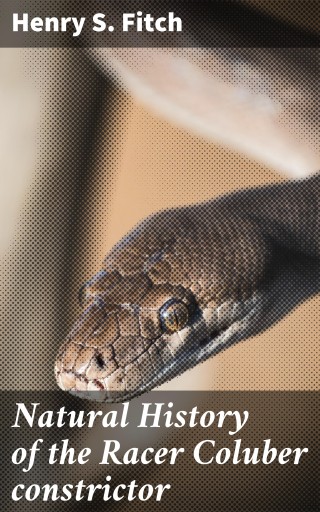 Natural History of the Racer Coluber constrictor