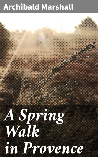 A Spring Walk in Provence