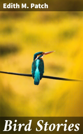 Bird Stories