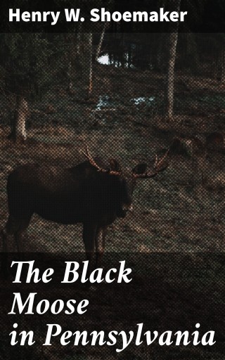 The Black Moose in Pennsylvania