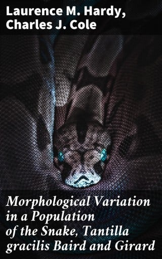 Morphological Variation in a Population of the Snake, Tantilla gracilis Baird and Girard