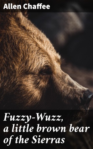 Fuzzy-Wuzz, a little brown bear of the Sierras