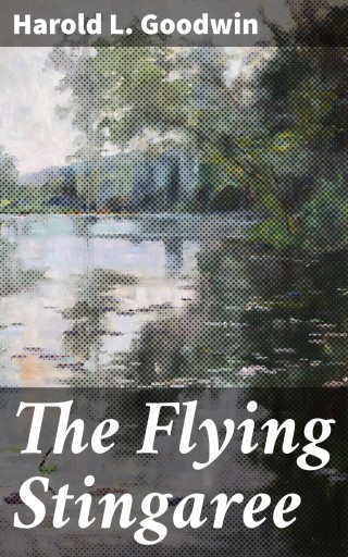 The Flying Stingaree