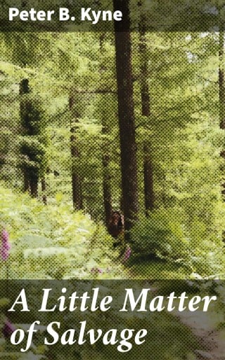 A Little Matter of Salvage