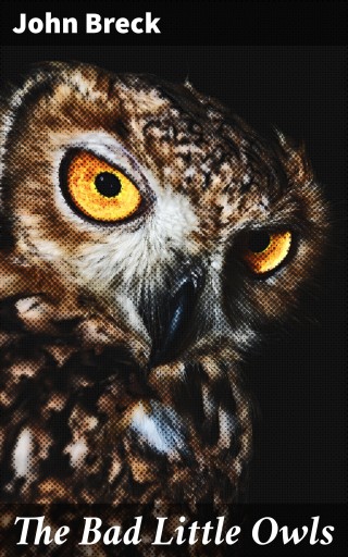 The Bad Little Owls