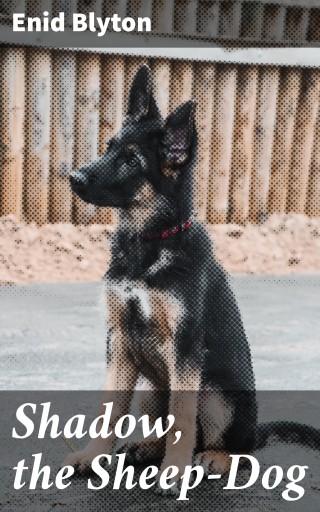 Shadow, the Sheep-Dog