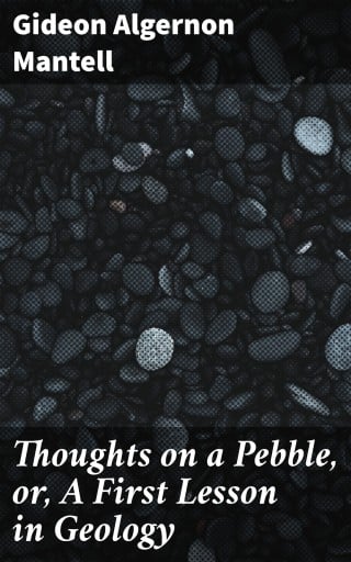Thoughts on a Pebble, or, A First Lesson in Geology