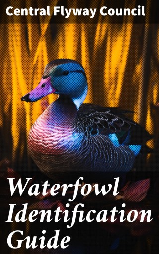 Waterfowl Identification Guide