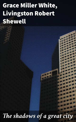 The shadows of a great city