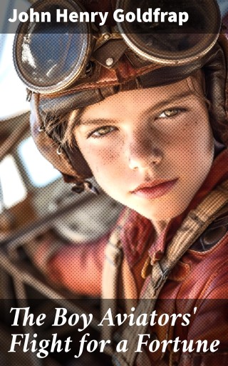 The Boy Aviators' Flight for a Fortune