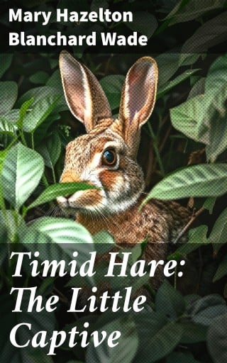 Timid Hare: The Little Captive