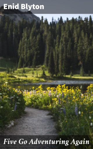 Five Go Adventuring Again