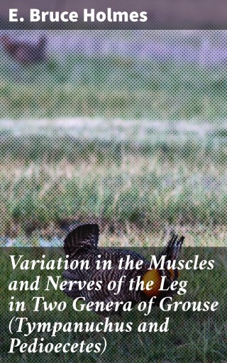 Variation in the Muscles and Nerves of the Leg in Two Genera of Grouse (Tympanuchus and Pedioecetes)
