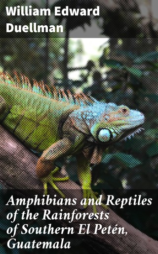 Amphibians and Reptiles of the Rainforests of Southern El Petén, Guatemala