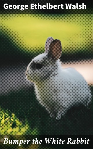 Bumper the White Rabbit