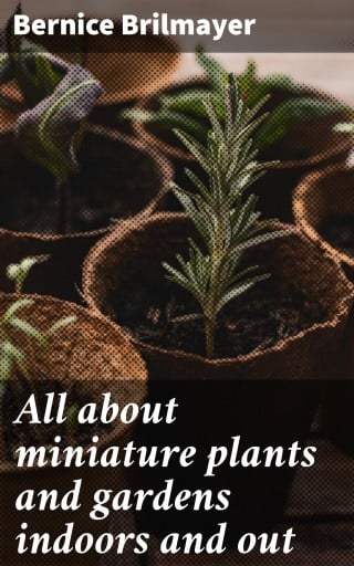 All about miniature plants and gardens indoors and out