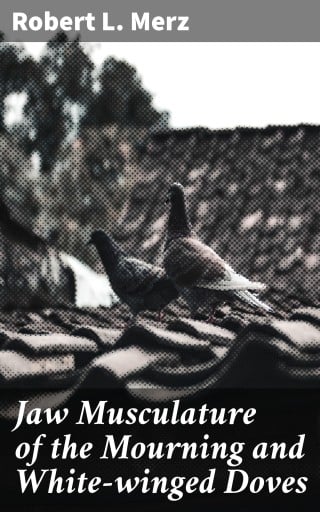 Jaw Musculature of the Mourning and White-winged Doves