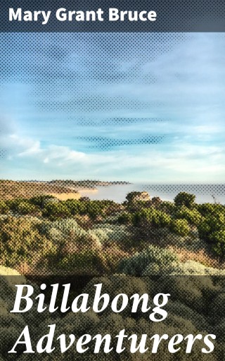 Billabong Adventurers