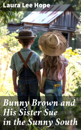 Bunny Brown and His Sister Sue in the Sunny South