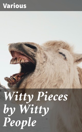 Witty Pieces by Witty People