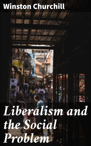 Liberalism and the Social Problem