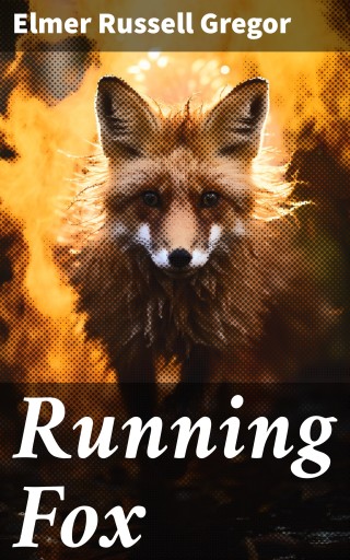 Running Fox