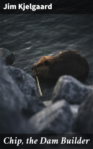 Chip, the Dam Builder