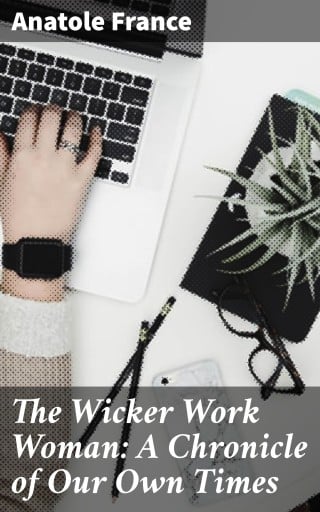 The Wicker Work Woman: A Chronicle of Our Own Times