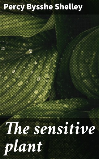 The sensitive plant