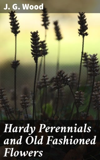 Hardy Perennials and Old Fashioned Flowers
