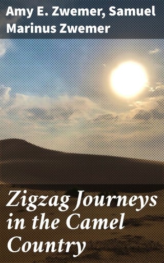 Zigzag Journeys in the Camel Country
