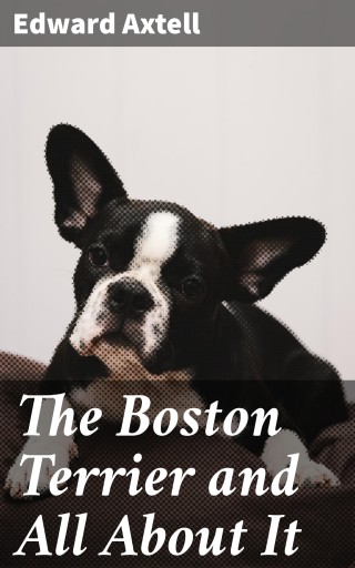 The Boston Terrier and All About It
