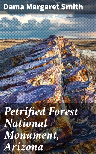 Petrified Forest National Monument, Arizona
