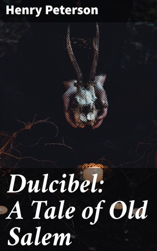 Portada del libro «Dulcibel: A Tale of Old Salem», de Henry Peterson