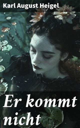Portada del libro «Er kommt nicht», de Karl August Heigel