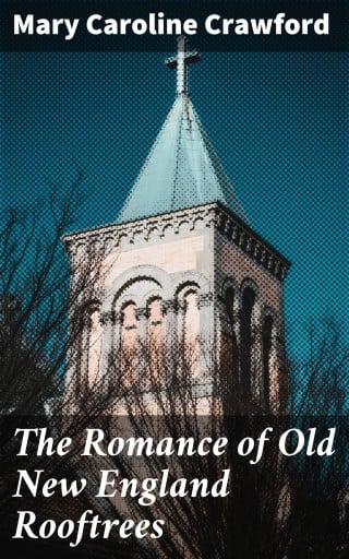 The Romance of Old New England Rooftrees