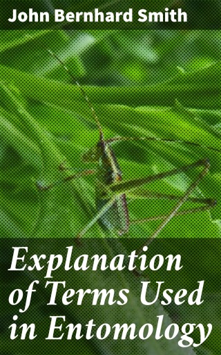 Explanation of Terms Used in Entomology