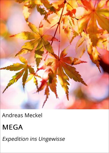 Portada del libro «MEGA», de Andreas Meckel