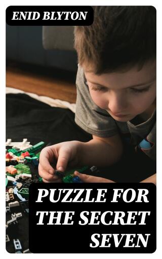 Puzzle for the Secret Seven