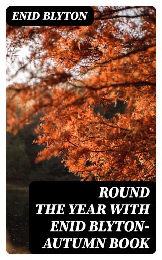 Round the Year with Enid Blyton—Autumn Book