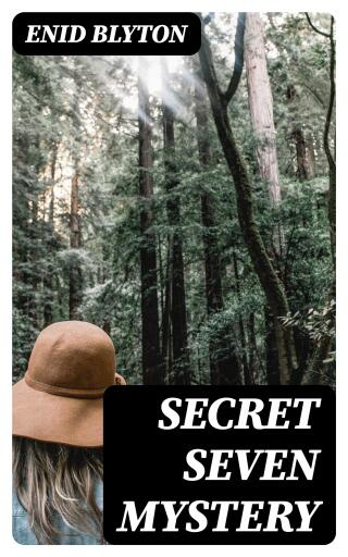 Portada del libro «Secret Seven Mystery», de Enid Blyton
